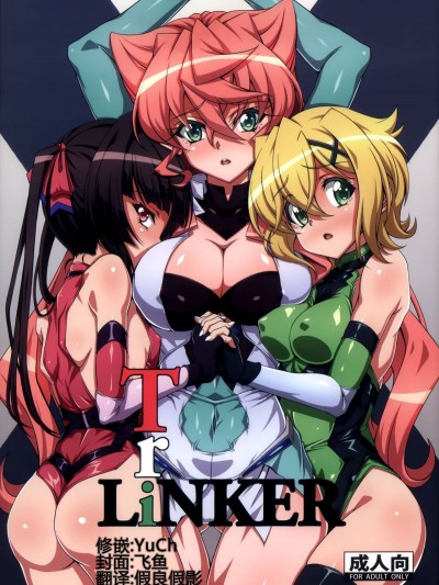 (C92) [CLOCK(しゅんぞう) ]TriLiNKER (戦姫絶唱シンフォギア) [假良假影個人漢化]
