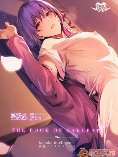 [無邪気漢化組] (C96) [孤獨intelligence (ななお)] THE BOOK OF SAKURA 3 (Fate/stay night) [中國翻訳]