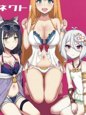 [好野尻漢化] (C96) [ごむはち (ゴム)] ビーチDeコネクト! (プリンセスコネクト!Re:Dive) [中國翻訳]