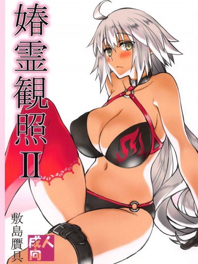 [敷島贋具 (敷島天気、敷島昭太郎)] 媋霊観照II (Fate Grand Order)