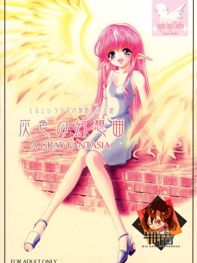 [牛肝菌汉化] (C62) [少女交錯 (eltole)] 灰色の幻想曲 [中国翻訳]