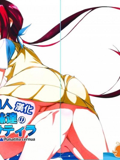[流石堂(流ひょうご)][兄妹達のプルサティラ]