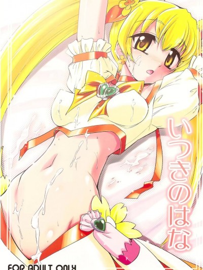 [个人团子翻译] (C78) [邪屋。 (邪武丸)] いつきのはな (ハートキャッチプリキュア!) [中国翻訳]