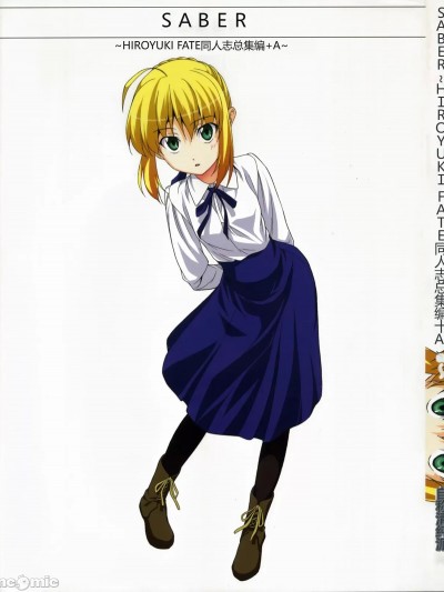 (C72) [自称清純派 (ヒロユキ)] Saber ～ヒロユキFate同人誌総集編＋α～ (Fate/stay night、月姬) [中国翻訳]