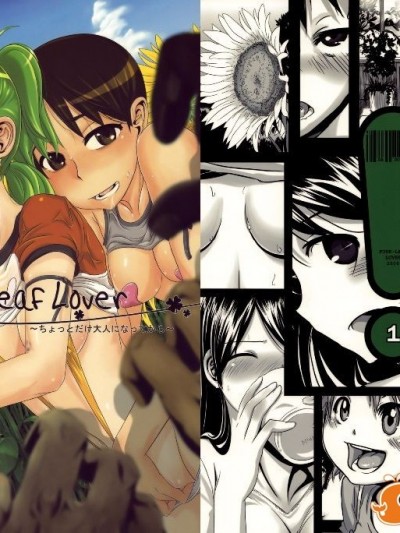 Four Leaf Lover 中文