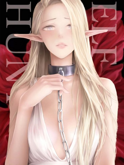 ] [BLUE氪个人翻译] (COMITIA145) [ONOKORO堂(史鬼匠人)] ELF HUNT + ペーパー[中国翻訳]