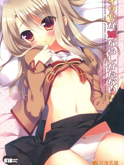 (C84) [23.4ド (イチリ)] イリヤが妹ならしかたない (Fate／kaleid liner プリズマ☆イリヤ)