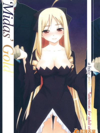 (C83) (同人誌) [bolze.] Midas