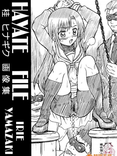 [蝶咲個人漢化](C77) [RAT TAIL (Irie Yamazaki)] HAYATE FILE 桂ヒナギク畫像集 (ハヤテのごとく!)