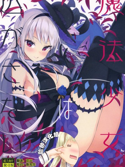 [ハイテクペンケース(Tam-U)][魔法少女は逃がさない]