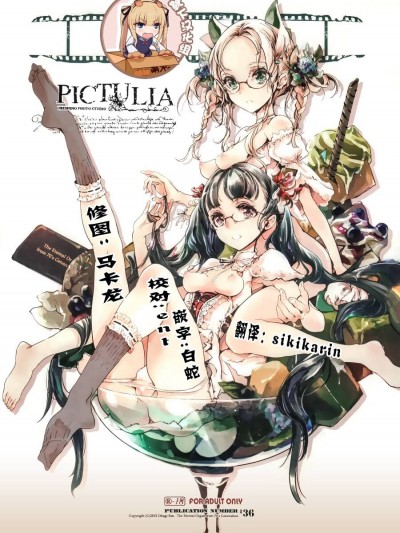 (COMIC1☆9) [70年式悠久機関 (おはぎさん)] pictulia [靴下漢化組]