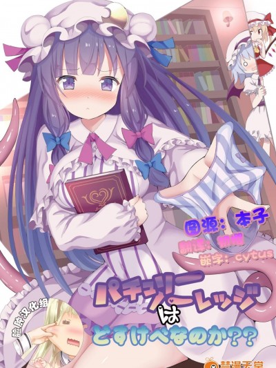 [難民ふぇすてぃばる(ぎヴちょこ)][パチュリー・ノーレッジはどすけべなのか？？]